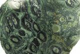 Free-Standing, Single-Side Polished Kambaba Jasper - Madagascar #267306-2